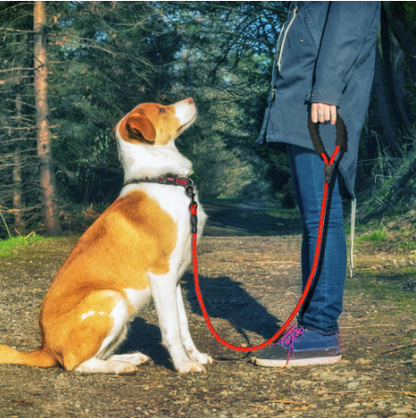 Hydrapaw™ Trail Leash — Reflective Rope Leash with Padded Grip