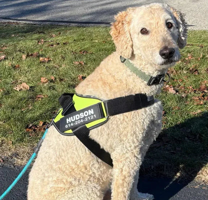 HydraPaw™ Personalized Dog Harness