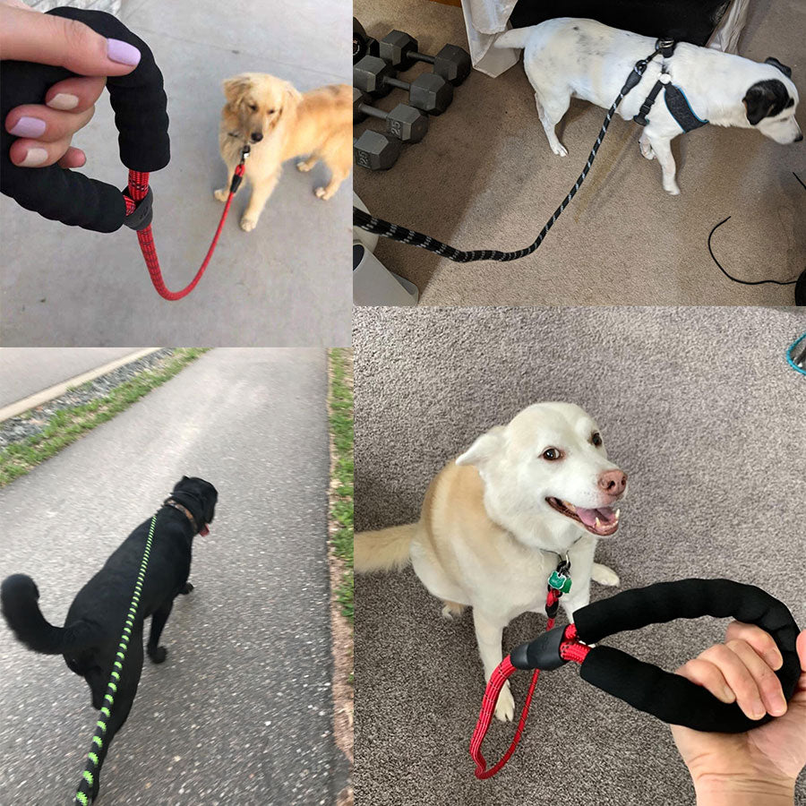 Hydrapaw™ Trail Leash — Reflective Rope Leash with Padded Grip