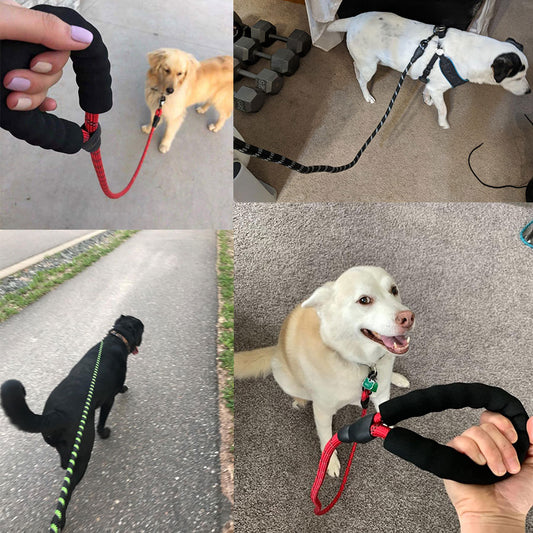 Hydrapaw™ Trail Leash — Reflective Rope Leash with Padded Grip