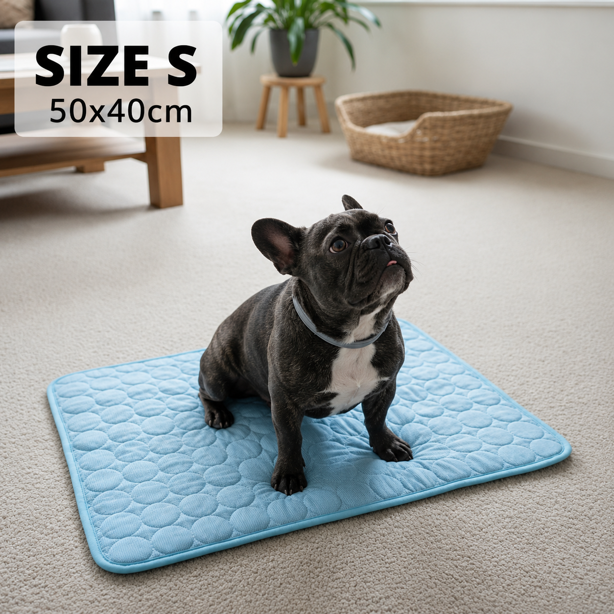 HydraPaw™ Cooling Dog Mat