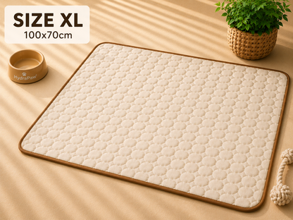 HydraPaw™ Cooling Dog Mat