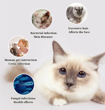 Hydrapaw™ UV Self-Cleaning Pet Brush — The 3-Minute Clean Ritual for Cats & Dogs