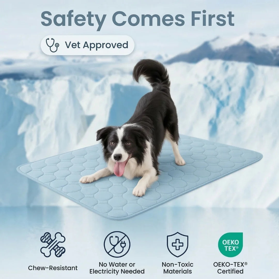 HydraPaw™ Cooling Dog Mat