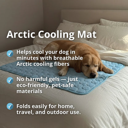 HydraPaw™ Cooling Dog Mat