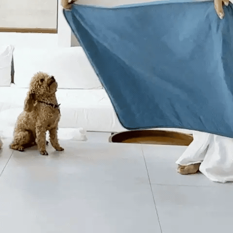 HydraPaw