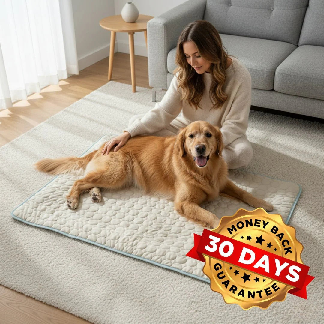HydraPaw™ Cooling Dog Mat