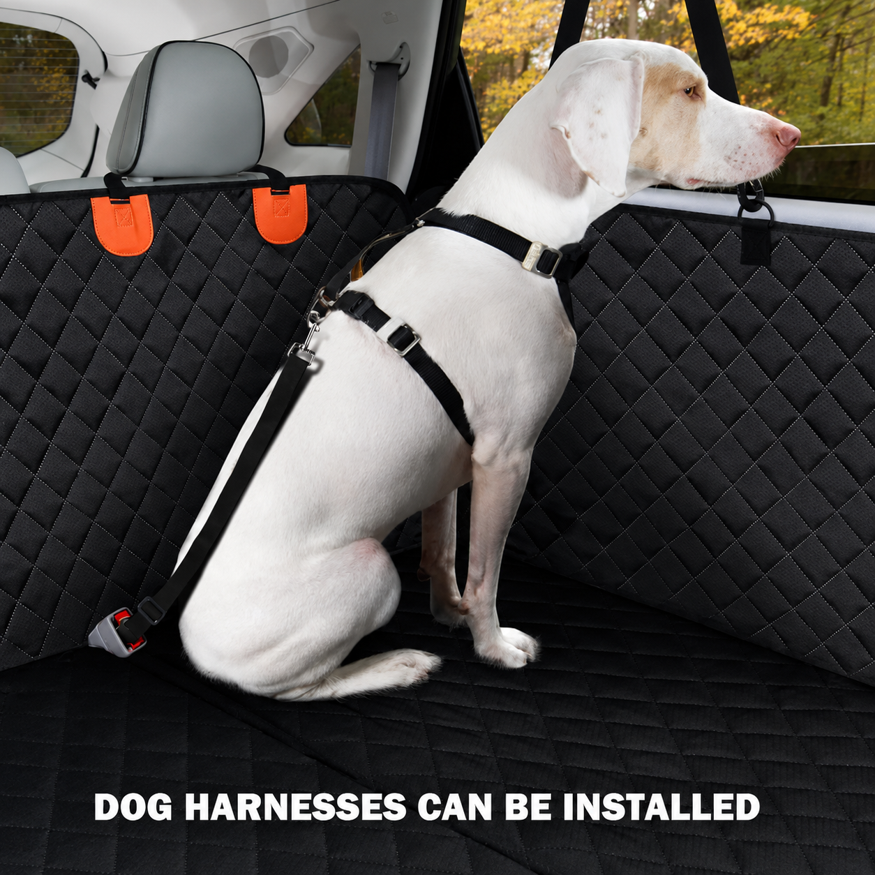 Dog harnesses can be attached directly to the seat cover for safe travel