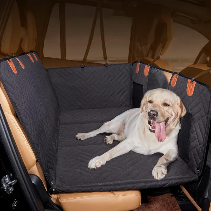 Labrador resting on the HydraPaw hard bottom car dog bed