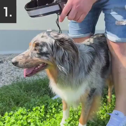 HydraPaw™ Personalized Dog Harness